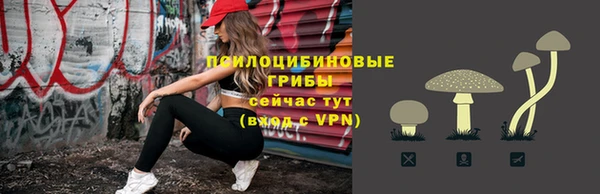 mdpv Кинешма