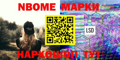 стафф Новокубанск