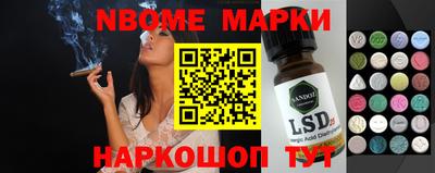 гидра Новозыбков