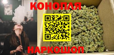 гидра Новозыбков