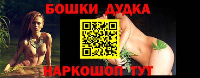 гидра Новозыбков
