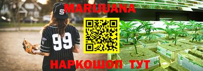 гидра Новозыбков