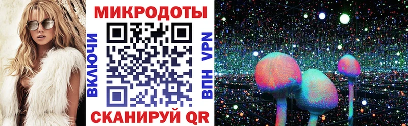 купить наркотик  Шебекино  даркнет состав  Псилоцибиновые грибы прущие грибы 