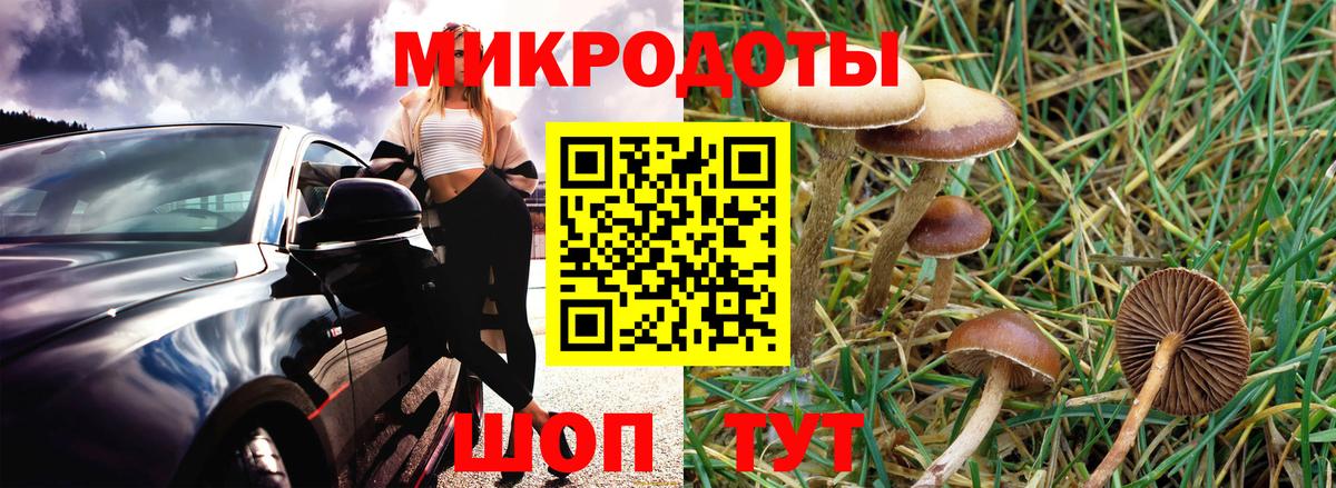 Шебекино  Галлюциногенные грибы MAGIC MUSHROOMS  Вход с VPN  Галлюциногенные грибы мухоморы 
