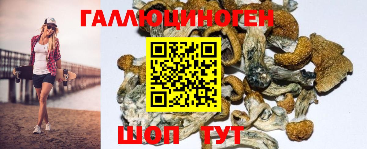 Псилоцибиновые грибы мухоморы  Шебекино 