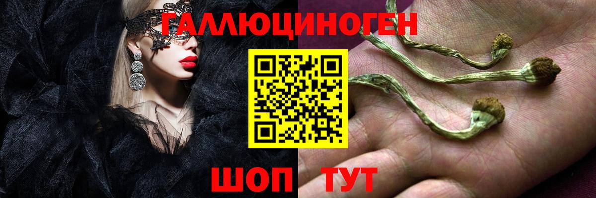 Псилоцибиновые грибы мицелий Шебекино