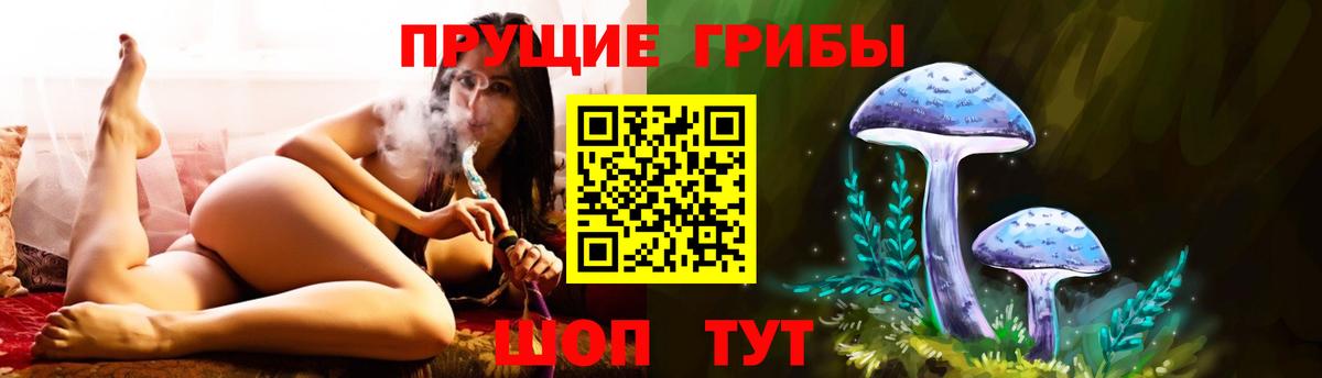 Псилоцибиновые грибы мицелий Шебекино